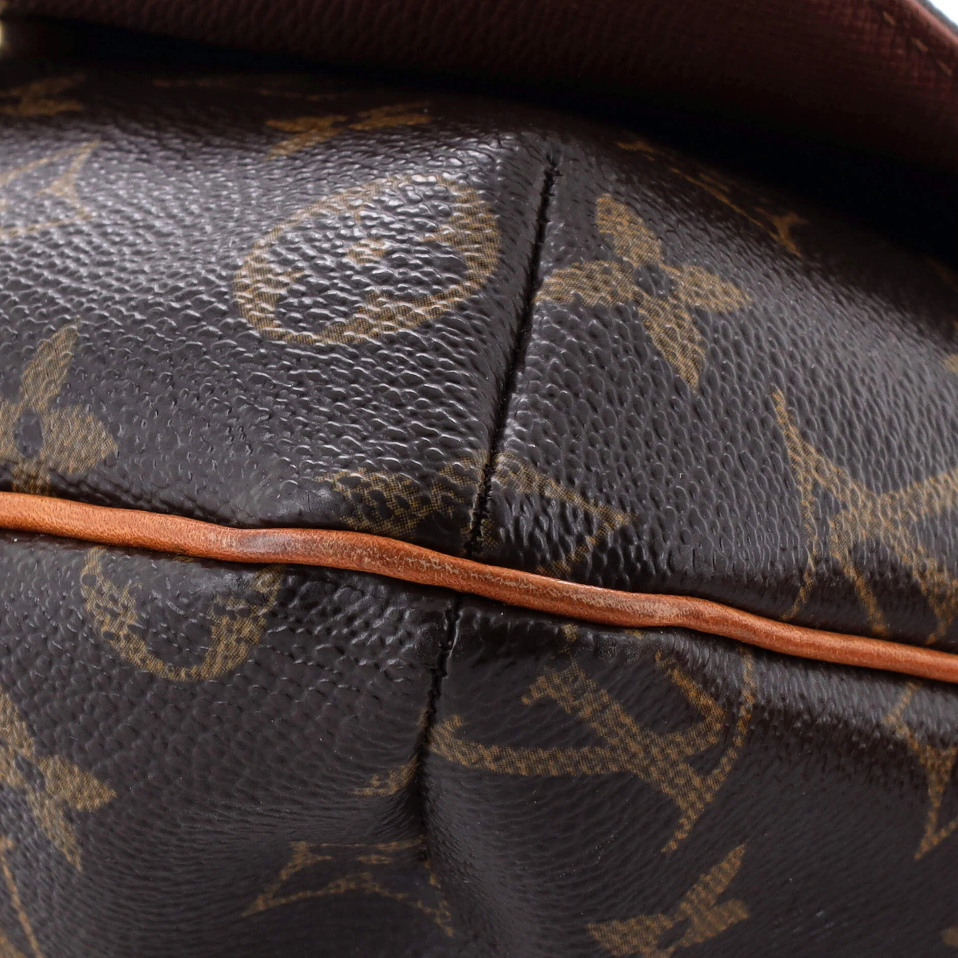 Musette Salsa Handbag Monogram Canvas PM - Image 6