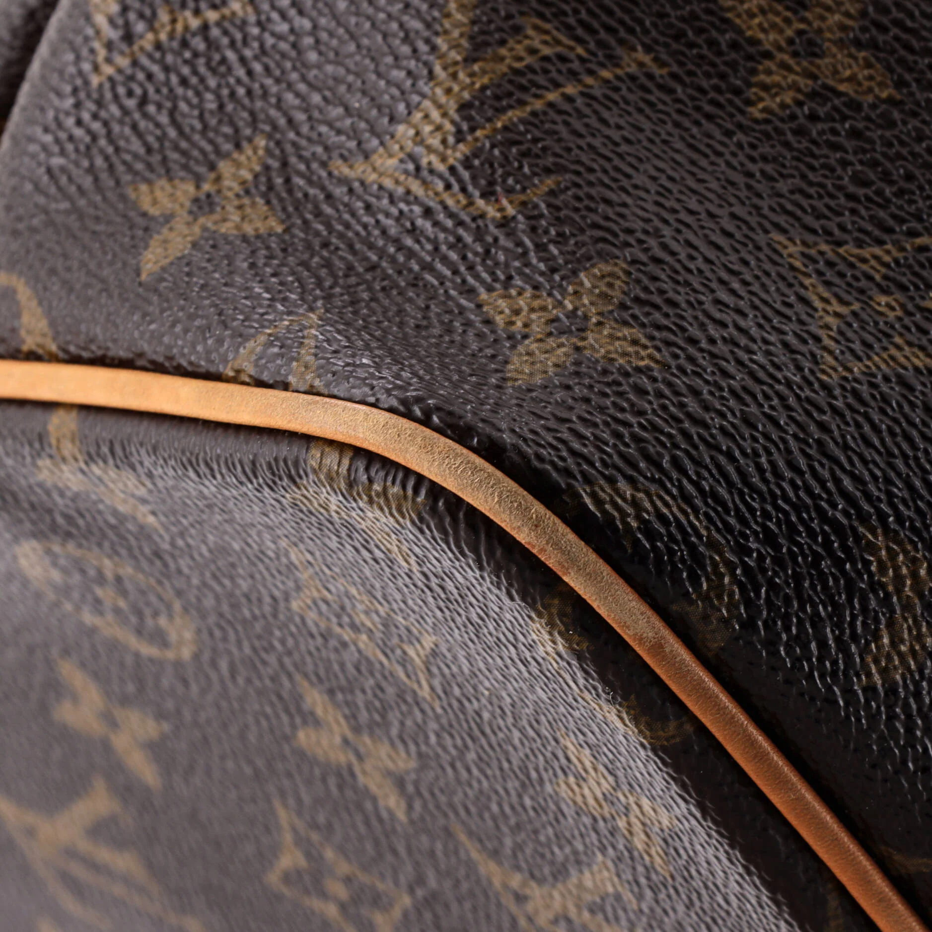 Palermo Handbag Monogram Canvas PM - Image 6