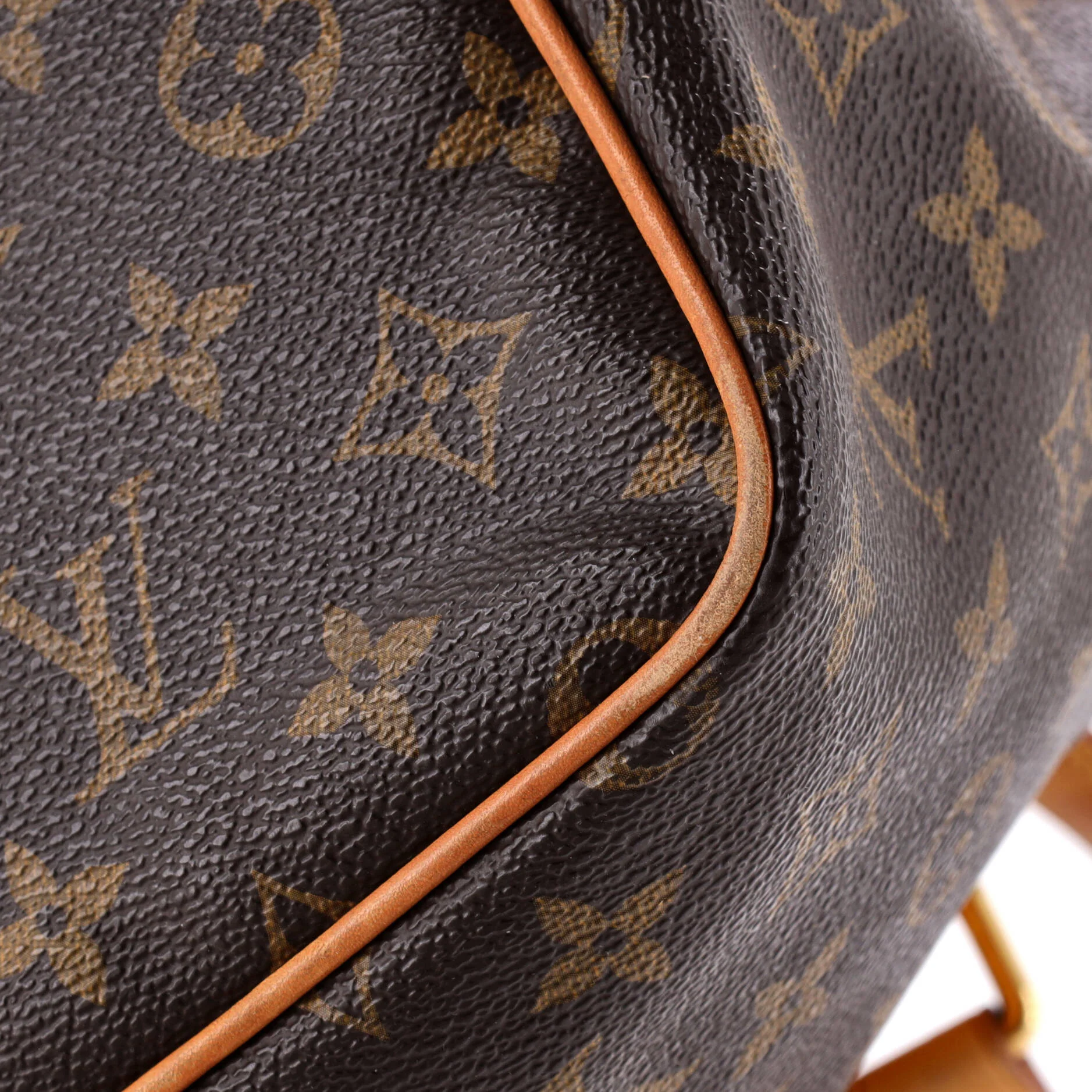 Palermo Handbag Monogram Canvas PM - Image 6