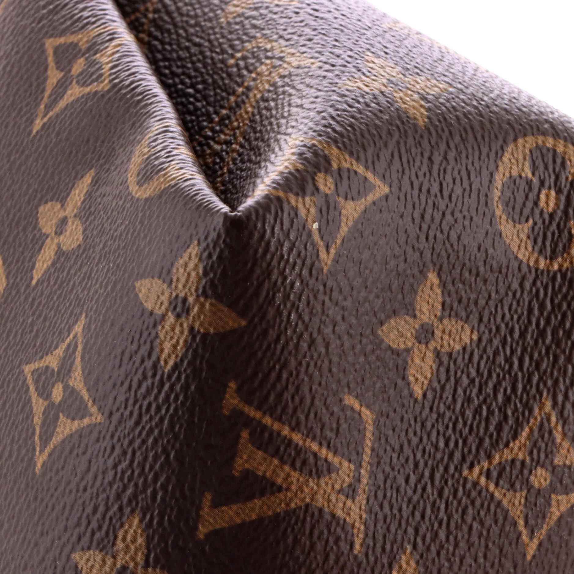 Pallas Beauty Case Monogram Canvas with Leather - Image 6