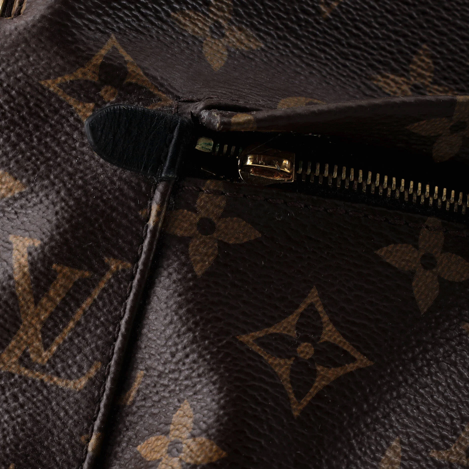 Palm Springs Backpack Monogram Canvas MM - Image 6
