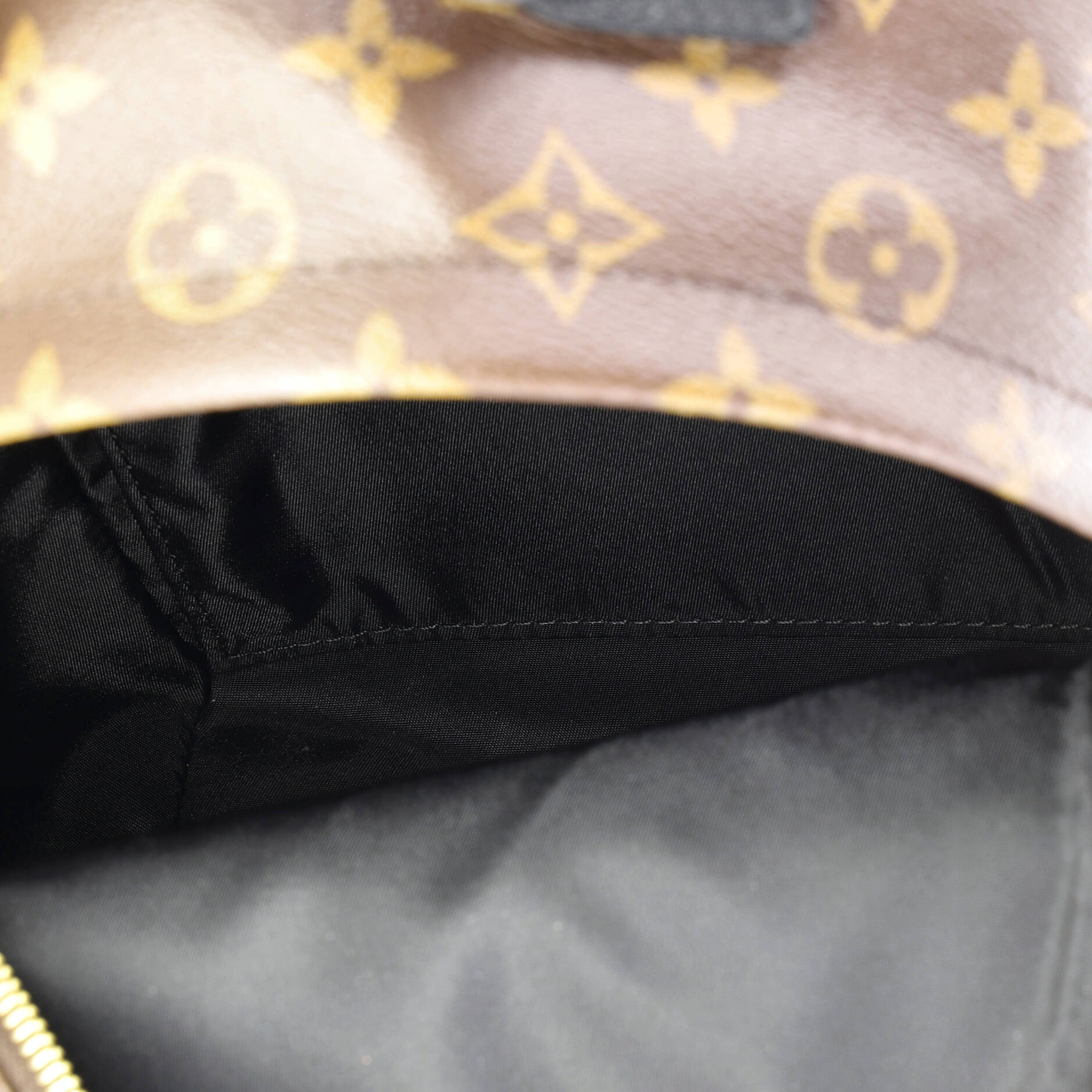 Palm Springs Backpack Reverse Monogram Canvas PM - Image 5