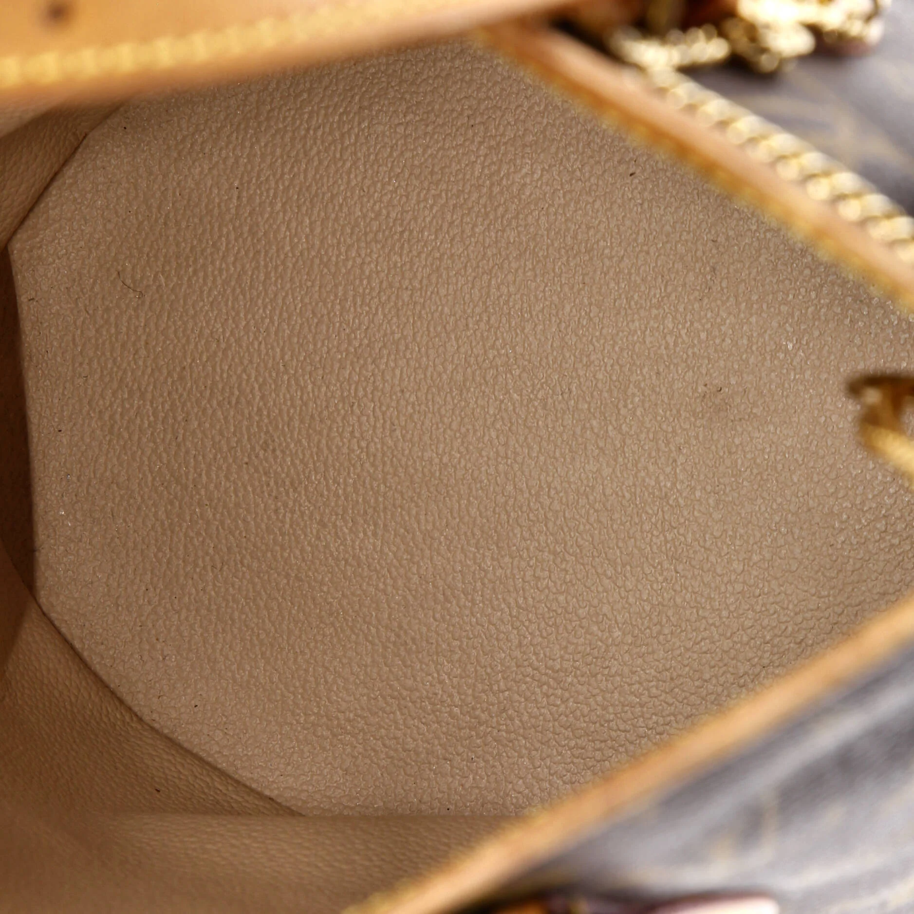 Petit Bucket Bag Monogram Canvas - Image 6