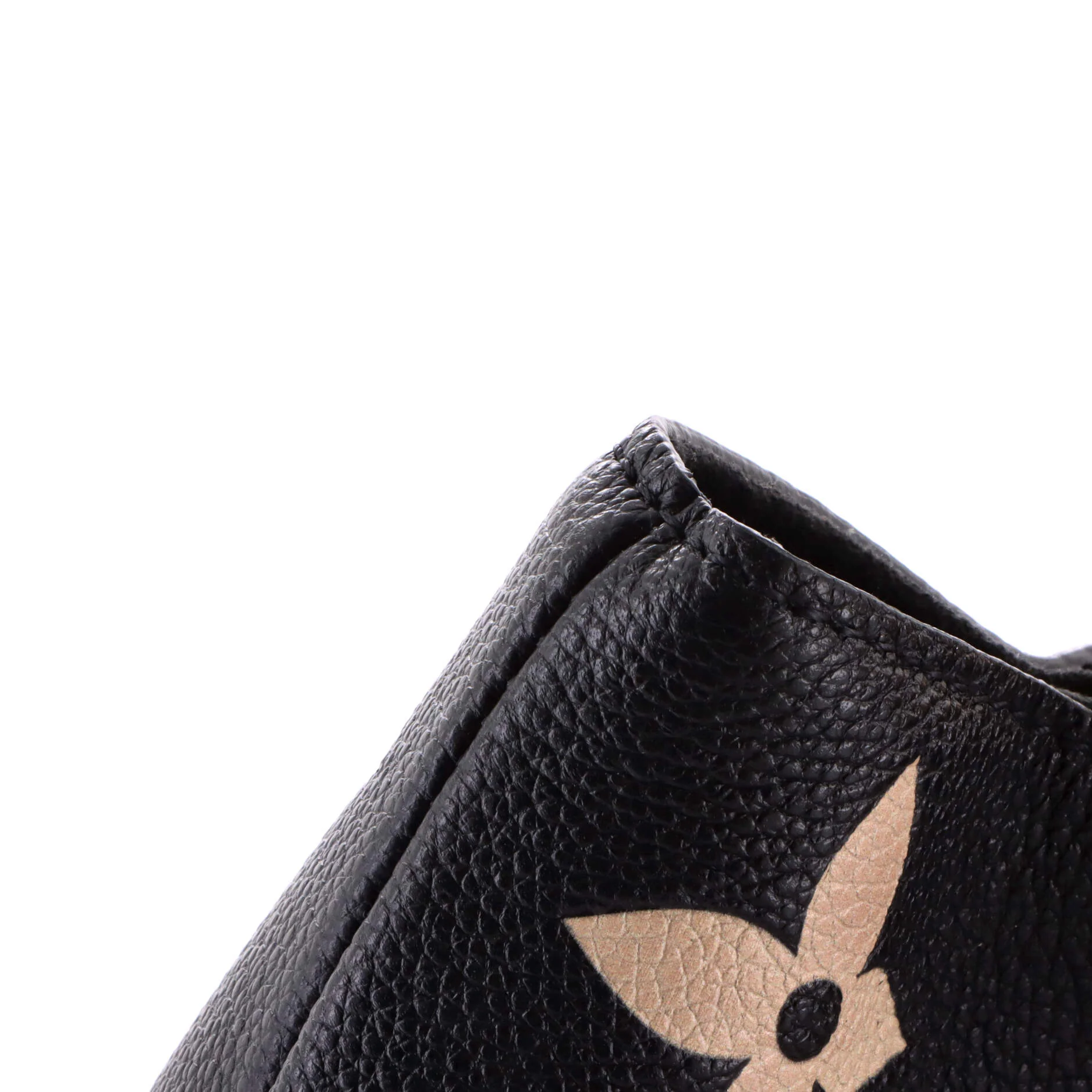 Petit Palais Handbag Bicolor Monogram Empreinte Giant - Image 7