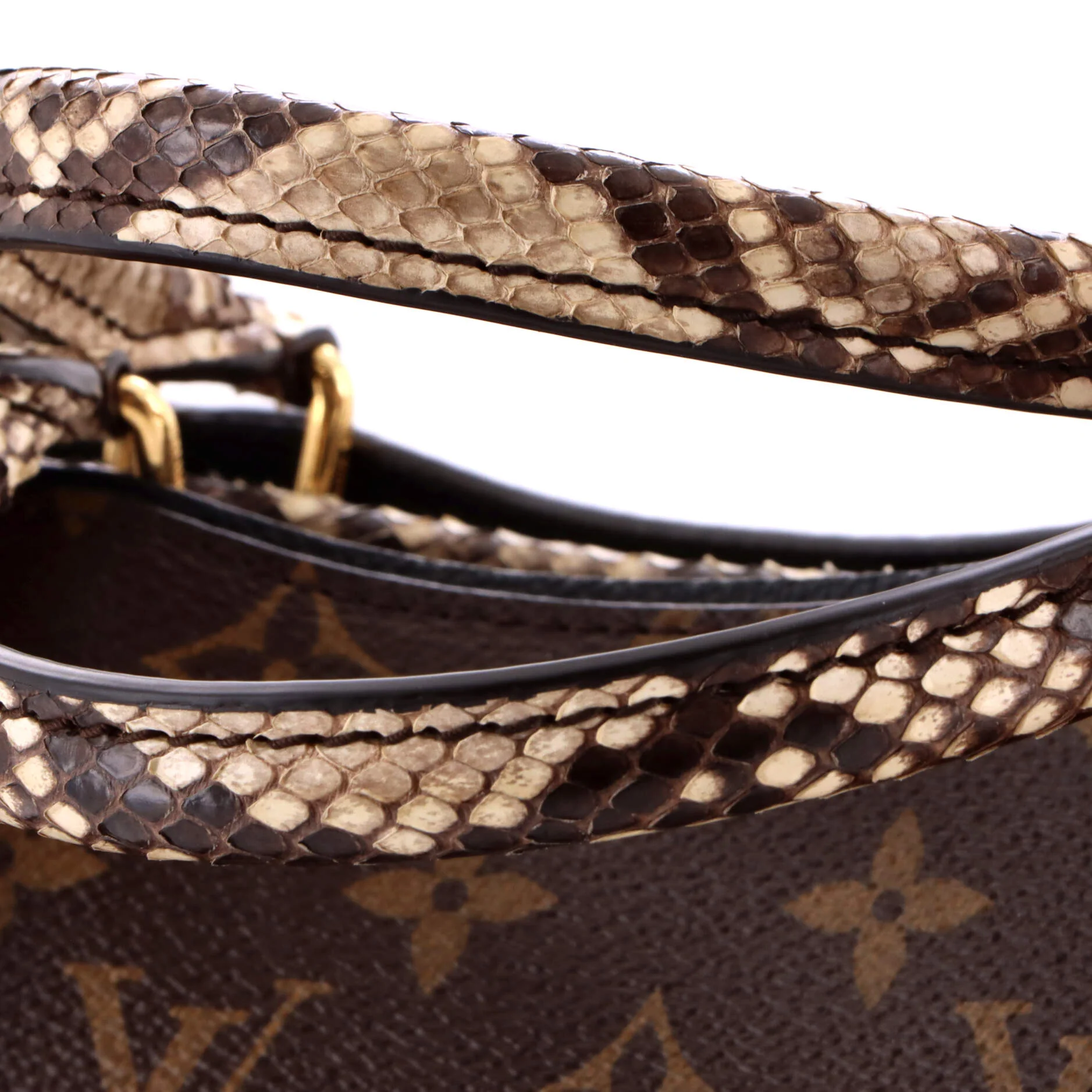 Popincourt NM Handbag Monogram Canvas with Python MM - Image 6