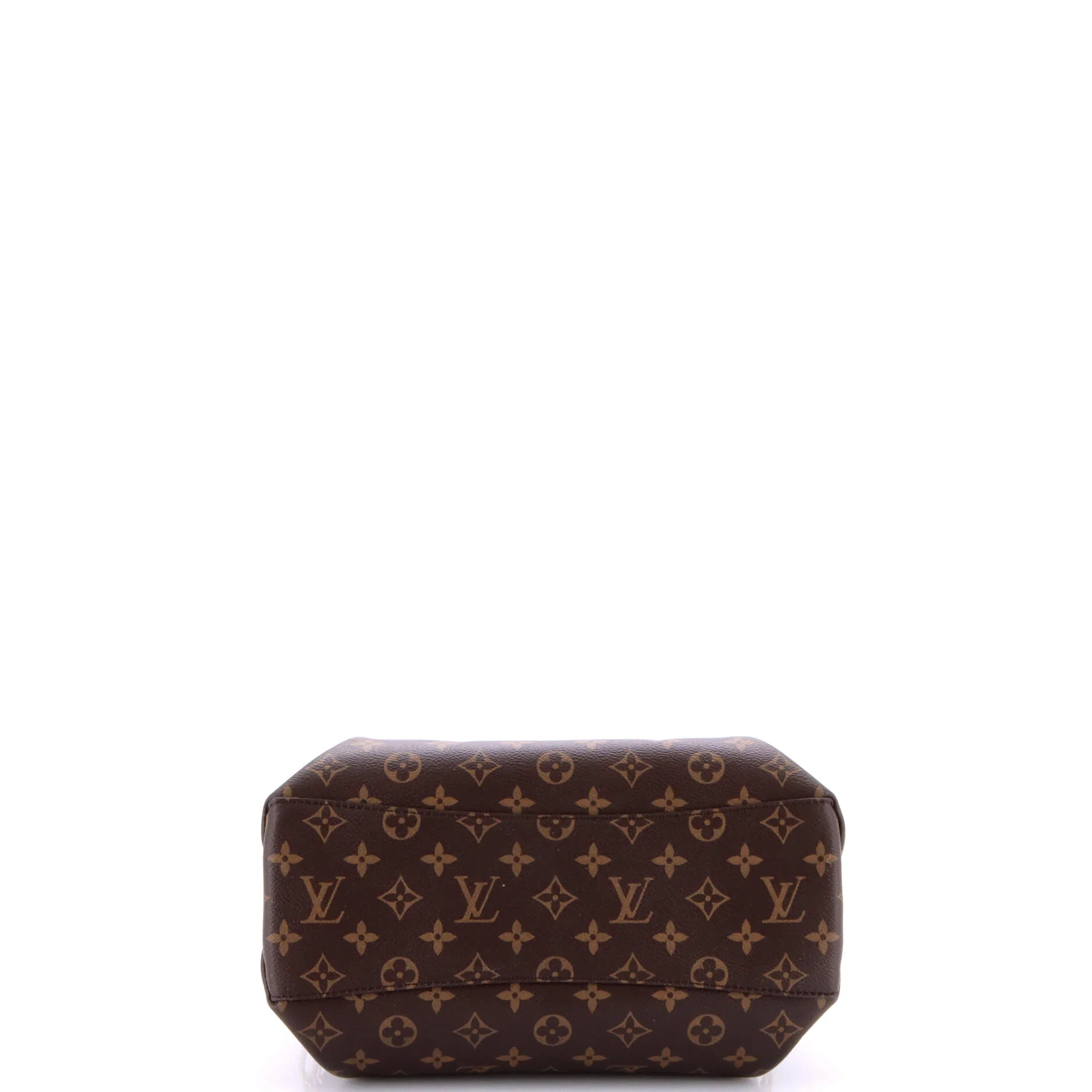 Rivoli Handbag Monogram Canvas PM - Image 4