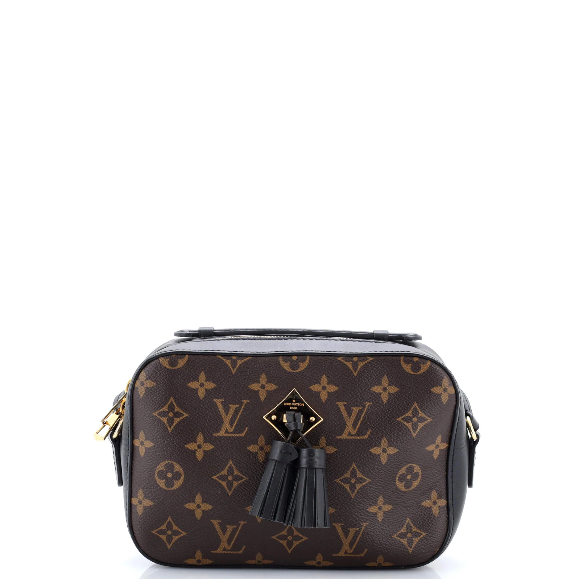 Saintonge Handbag Monogram Canvas with Leather