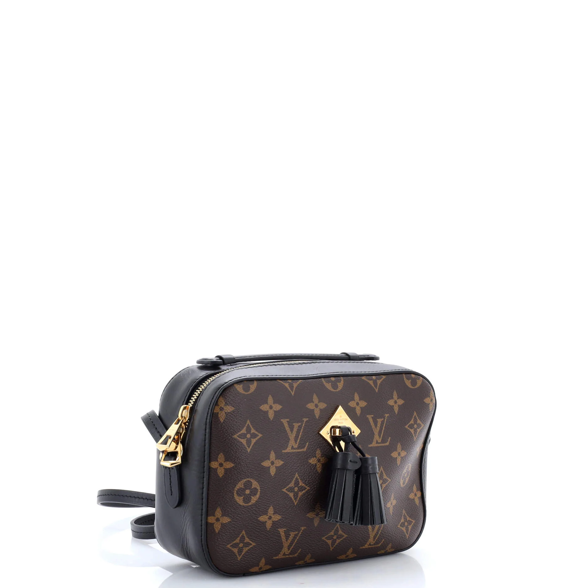 Saintonge Handbag Monogram Canvas with Leather - Image 2