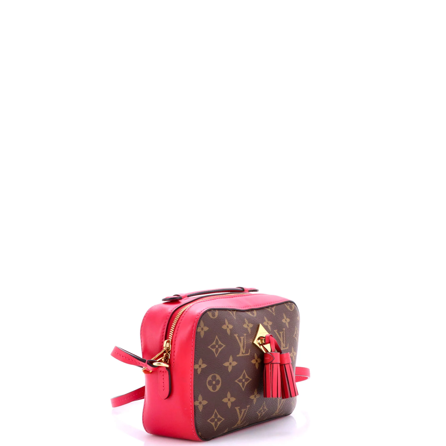 Saintonge Handbag Monogram Canvas with Leather - Image 2