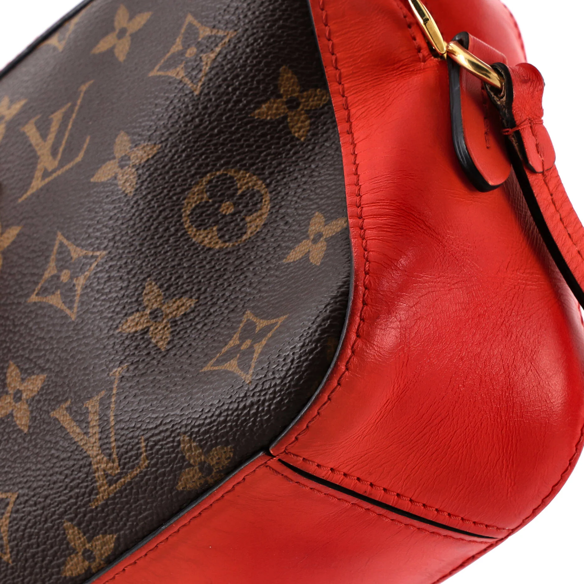 Saintonge Handbag Monogram Canvas with Leather - Image 8