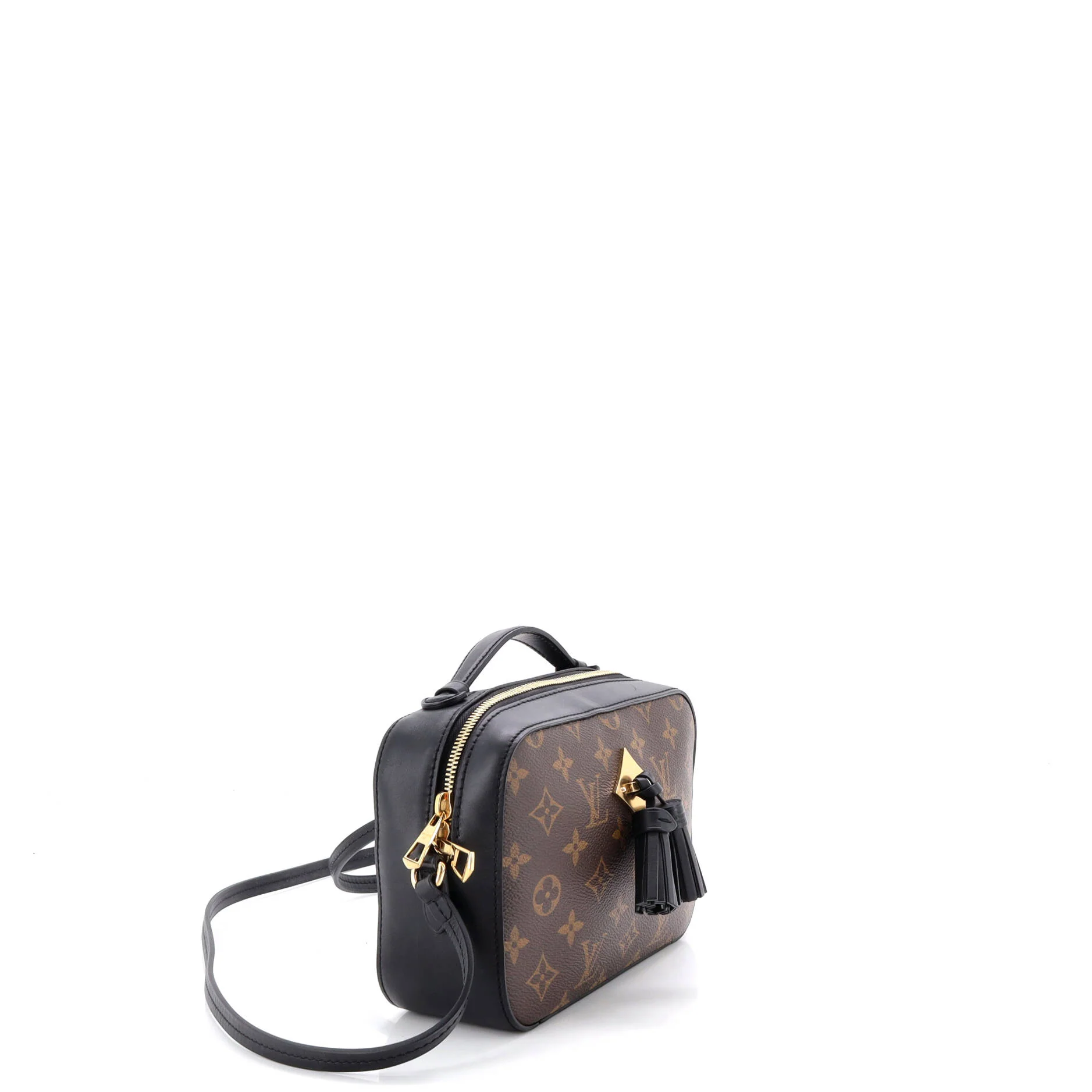Saintonge Handbag Monogram Canvas with Leather - Image 2