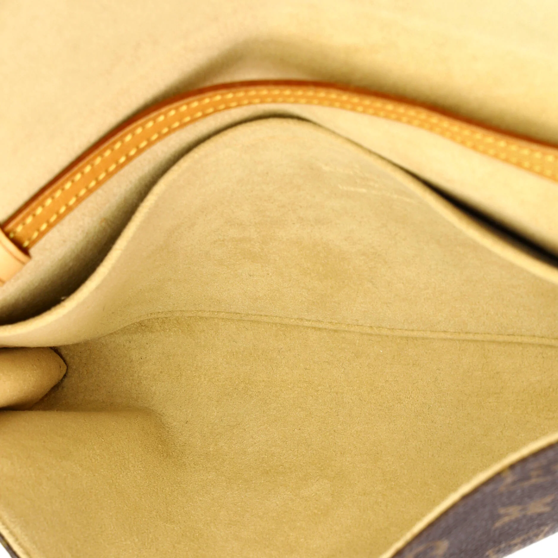 Twin Handbag Monogram Canvas GM - Image 5