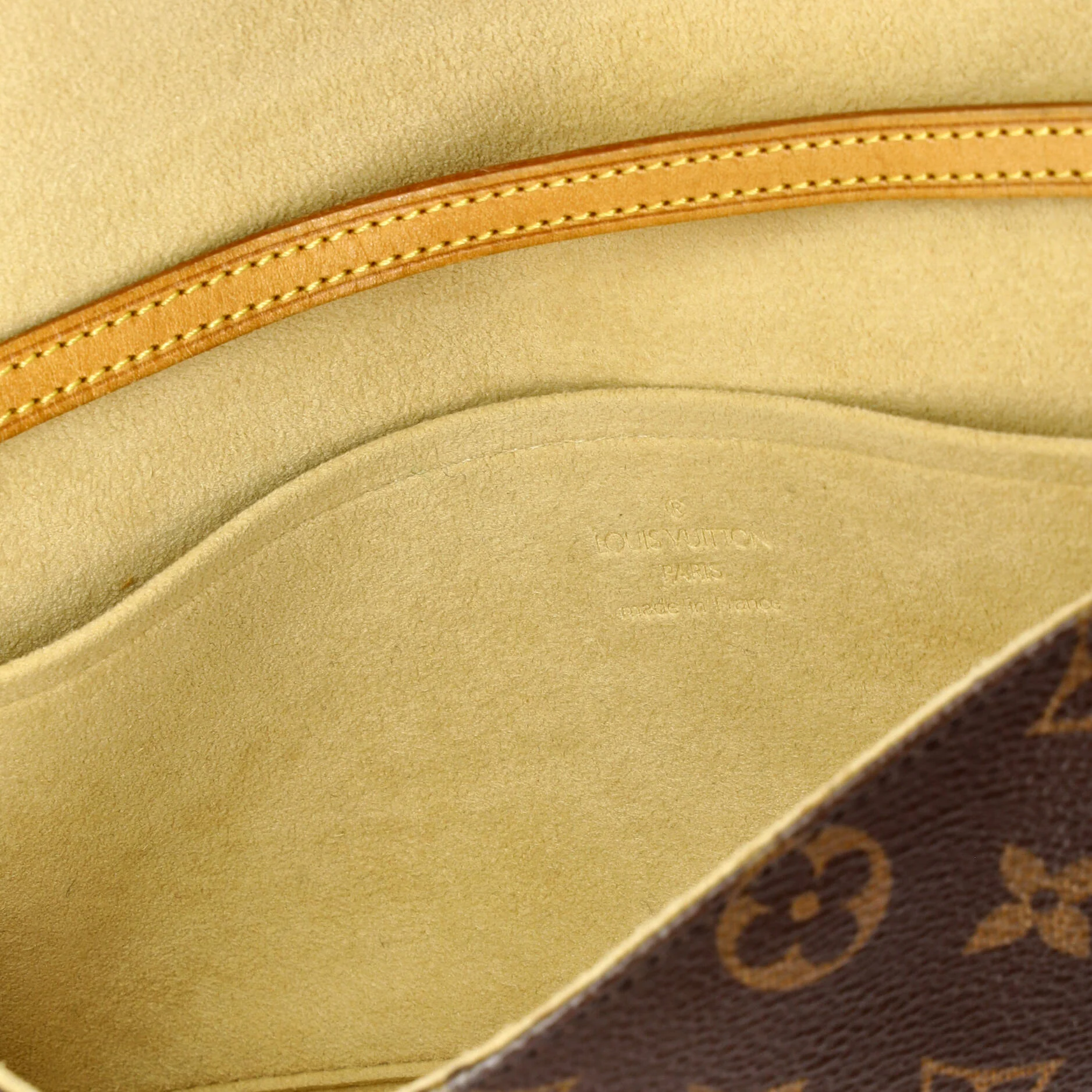 Twin Handbag Monogram Canvas GM - Image 6