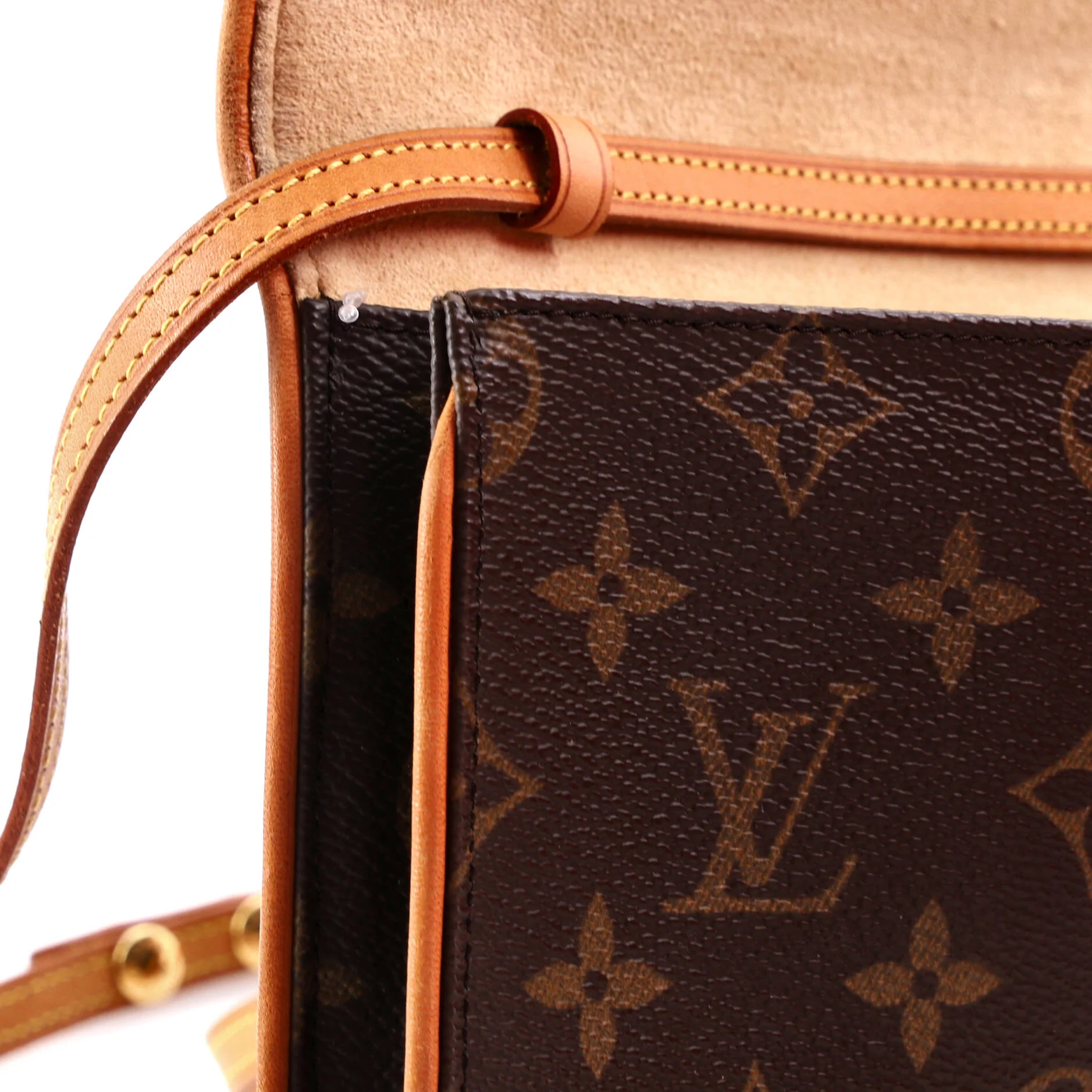 Twin Handbag Monogram Canvas GM - Image 7