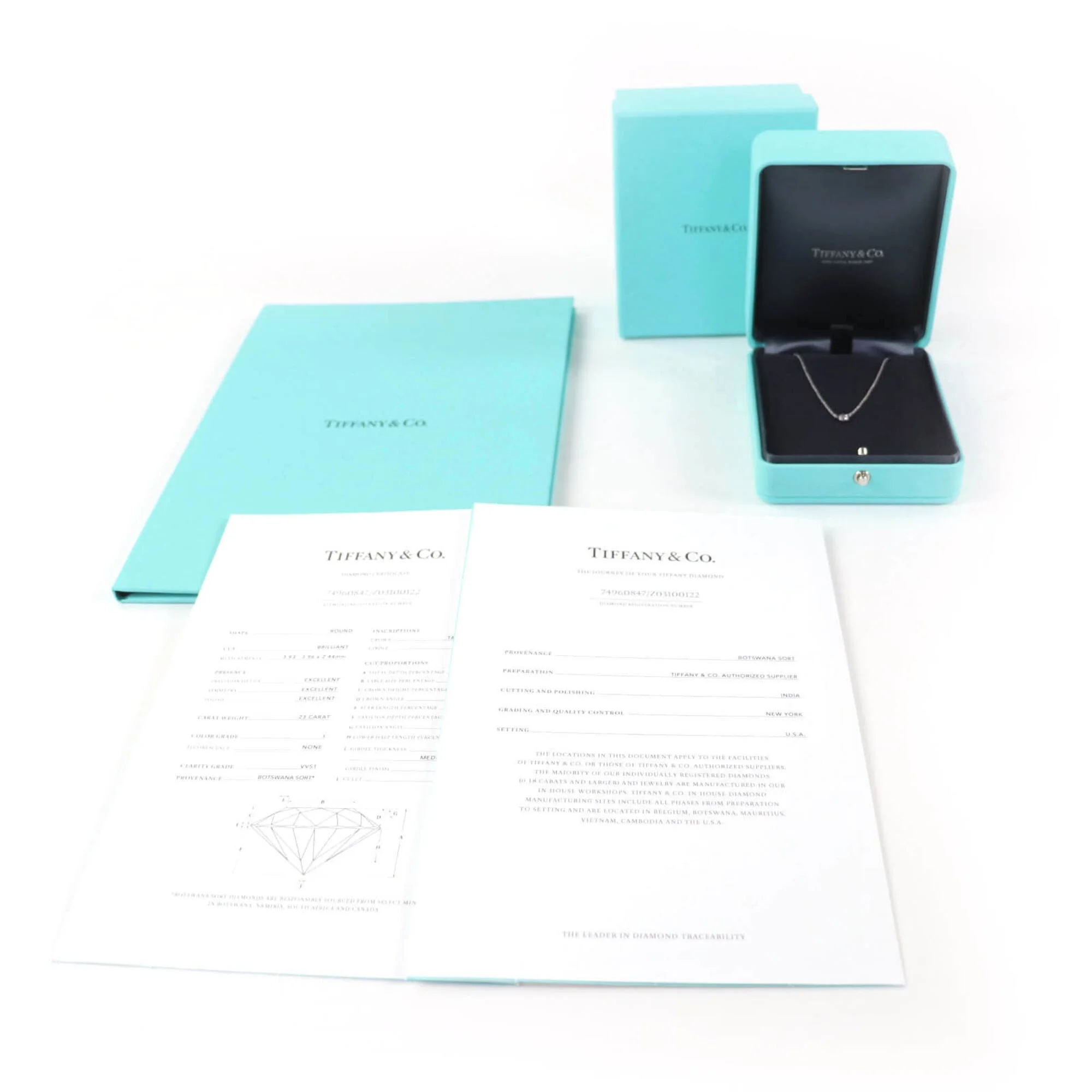 Elsa Peretti Pendant Necklace Sterling Silver and Platinum - Image 2